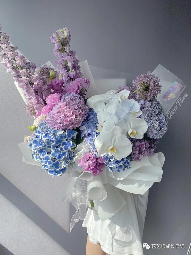绣球青花瓷（每日一花青花瓷绣球）(11)
