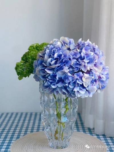 绣球 青花瓷